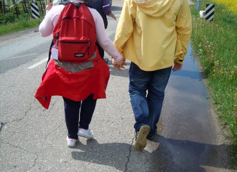 Rimini, ecco l'Erasmus per ottanta studenti con disabilità