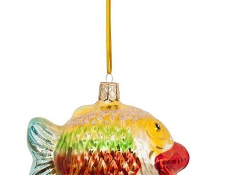 Dove andiamo a Natale? Laboratorio allo Zoo Acquario di Imola