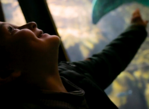 Andrea, malato di leucemia, corona il sogno di conoscere Ariel