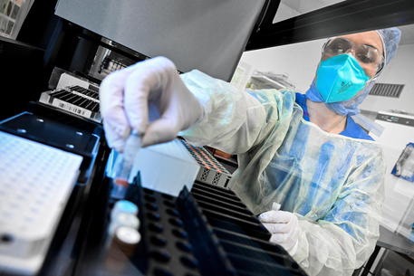 Coronavirus, via ai test a prof e personale scolastico