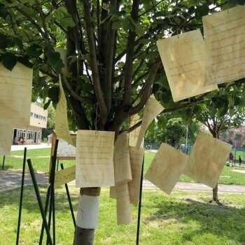 Scuole all'aperto, la maestra parte con una prima a Bologna: "Non vedo l'ora"
