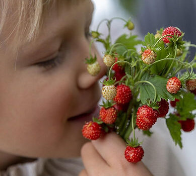 Agri-laboratori per i più piccoli al mercato contadino